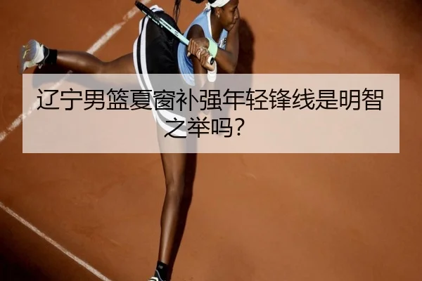 辽宁男篮夏窗补强年轻锋线是明智之举吗？